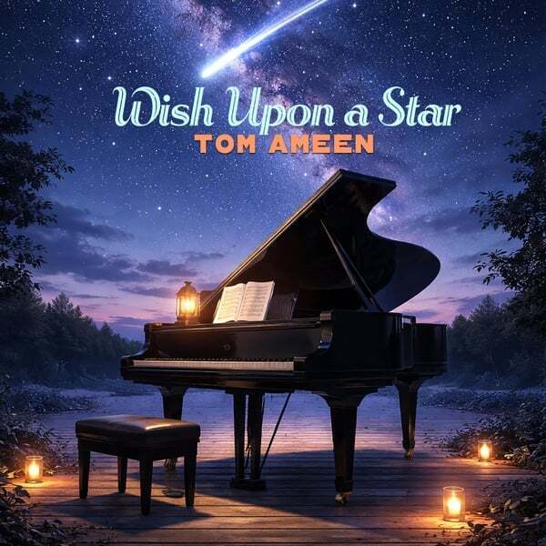 Cover art for Wish Upon a Star